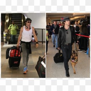 Celebrity Luggage Airport Clipart