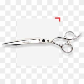 Product The Ace Of Spades - Scissors Clipart