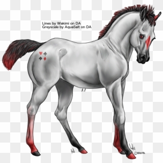 Solitaire Came To Us As A Foal, Growing An Alter-ego - Stallion Clipart