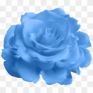 Blue Rose Transparent Png , Png Download Clipart