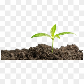 Every Teaspoon Of Soil Is Home To Billions Of Microorganisms - Fertilizer Clipart