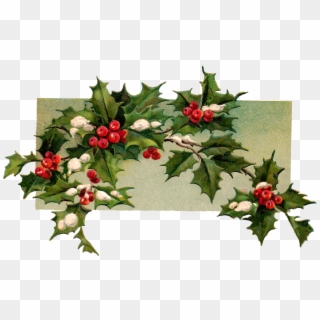 Digital Christmas Holly Download - Hollyleaf Cherry Clipart