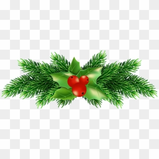 Christmas Holly Png Transparent Clipart
