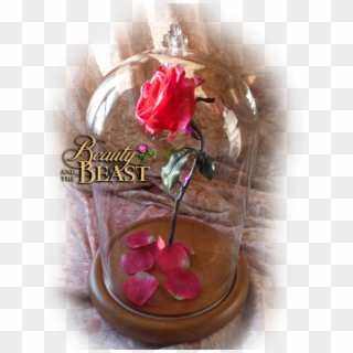 Free Beauty And The Beast Enchanted Rose Prop Clipart Pikpng