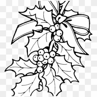Holly - Christmas Coloring Pages Mistletoe Clipart