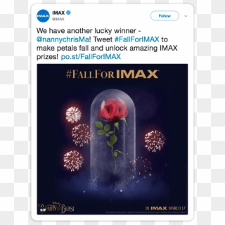 A Petal Was Programmed To Fall Every Time A Particular - Martinis And Imax Clipart