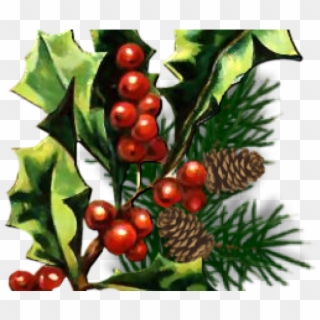 Christmas Holly Graphics - Christmas Tree Clipart
