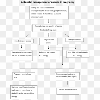 Effects Of Anemia In Pregnancy - Management Of Severe Anaemia In Pregnancy Clipart