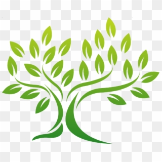 Sky Line Tree Surgery Services In Barnstaple - Tree Logo Png Clipart