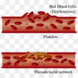 Collection Of Free Cellular Clipart Blood Clot - Children's Miracle Network Hospitals - Png Download