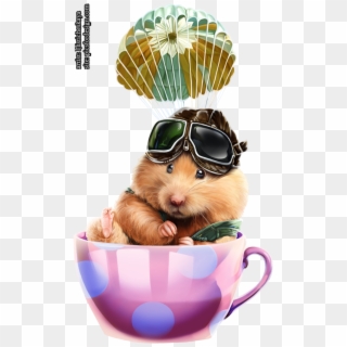 Hamster - Guinea Pig Clipart