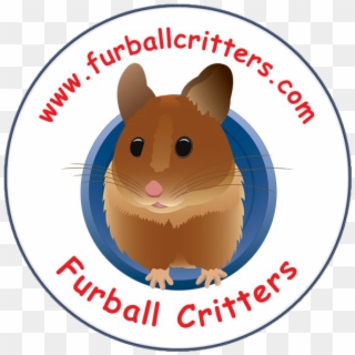 Furball Critters Hamsters Rats Chinchillas Santa Cruz - Rat Clipart