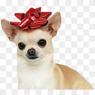 Chihuahua Dog For Sale Transparent Background - Happy New Year 2019 Chihuahua Clipart