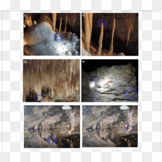 Cave Speleothems Collected From Lake Cave (iv) Moondyne - Soda Straw Clipart