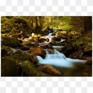 Graphic Transparent Stock Mountain Stream In Forest - Beautiful Mountain Images Download Clipart