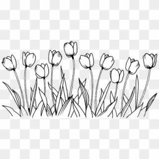Picture Free Stock Flower Coloring Book Art Tulips - Snow Crocus Clipart