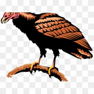 Turkey Vulture Clipart - Png Download