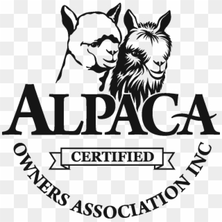 Aoa Certified Ribbon 1200 Px - Alpaca Clipart