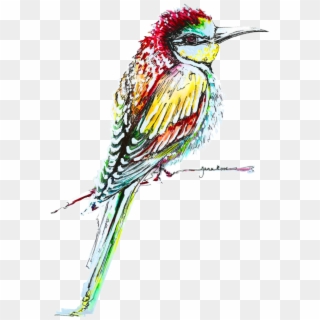 Kingfisher Bird Png High-quality Image - Bee Eater Clipart