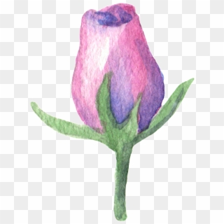 Purple Scent Bouquet Transparent Decorative - Rose Clipart