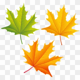Falling Autumn Leaves Png High-quality Image - Autumn Leaves Clipart Png Transparent Png