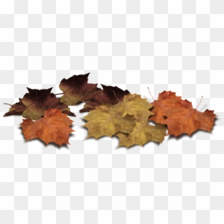 Leaf Png Image Fall On Land - Fall Leaf Clipart