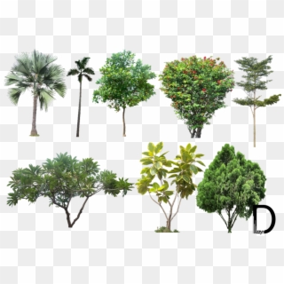 Landscape Png Photos - Trees For Photoshop High Resolution Clipart