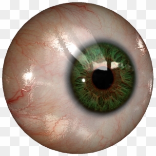 Download Transparent Png - Eyeball Png Realistic Clipart