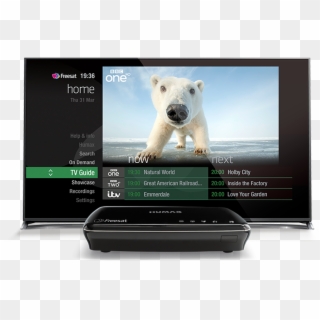 Choose From Our Range Of Smart Freesat Boxes Or Tvs Clipart