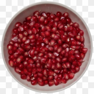 Pomegranate Seeds In Bowl - Lingonberry Clipart