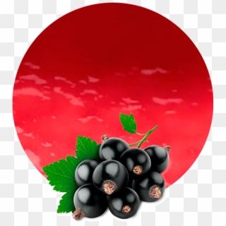 Blackcurrant Pomace - Black Currant Fruit Png Clipart