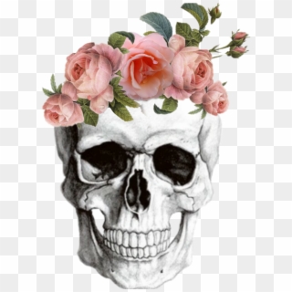 Anatomy Skull Skullsticker Flowers Tumblr - Middle School Shading Worksheet Clipart