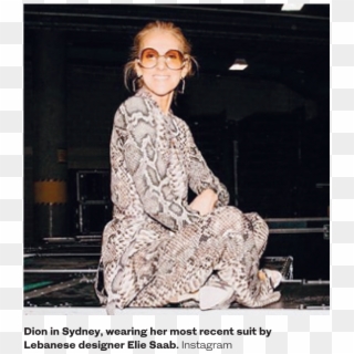 Lebanese Designers Suit Celine Dion - Celine Dion Clipart