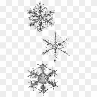Drawn Snowflake Png Tumblr - Winter Png Clipart