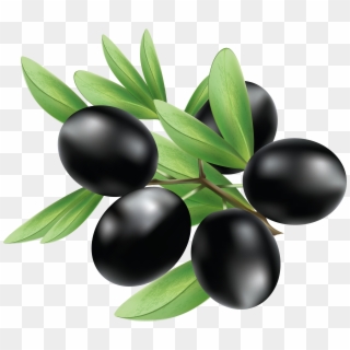 Black Olives Png Clipart