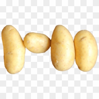 Idaho Potato - Russet Burbank Potato Clipart