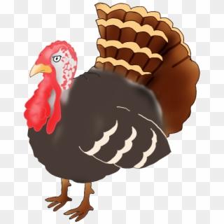 Drawn Turkey Transparent - Thanksgiving Clipart