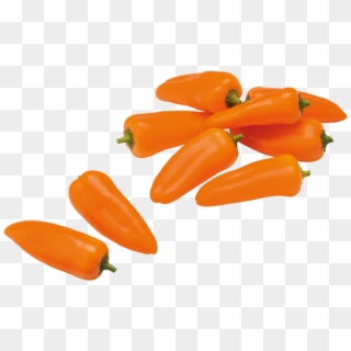 Sweet Mini Peppers - Oranje Paprika Clipart