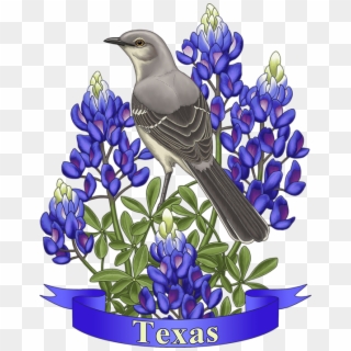 Bleed Area May Not Be Visible - Northern Mockingbird Blue Bonnet Clipart