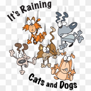 Dog Cat Clipart Group Png Royalty Free Download - It's Raining Cats And Dogs Transparent Png