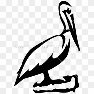 Free Pixels Production Ready Artwork For T Shirt - Black And White Pelican Clip Art - Png Download