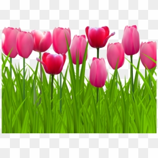 Lawn Clipart Top View - Png Pink Tulip Transparent Png