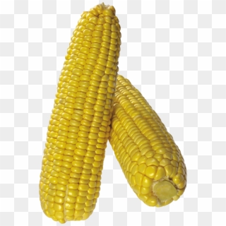 Corn Png Image Clipart