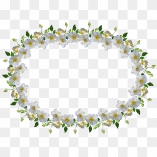 Frame, Border, White Rose, Floral - Bingkai Bunga Mawar Putih Clipart