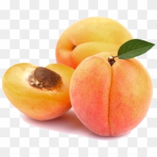 Free Png Apricot Png - Apricot Png Clipart