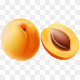Clip Art Image Of Apricot - Png Download