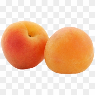 Apricot - Apricot Fruit Png Clipart