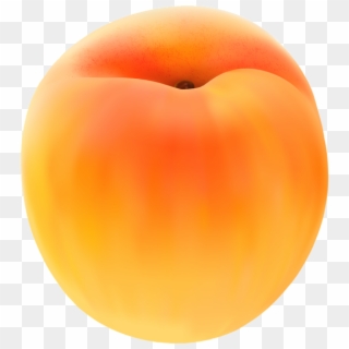 Apricot Free Png Clip Art Image - Apricot Png Transparent Png