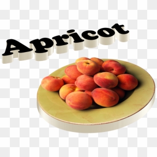 Apricot Png Dimension - Pêche Fruit Clipart
