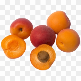 Apricots Clipart